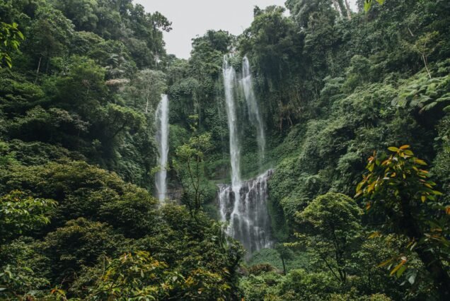 beautiful landscape with green trees and majestic waterfall Sekumpul, Bali