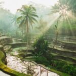 Beautiful sunrise over famous balinese landmark Tegalalang rice terraces. Magic sun rays