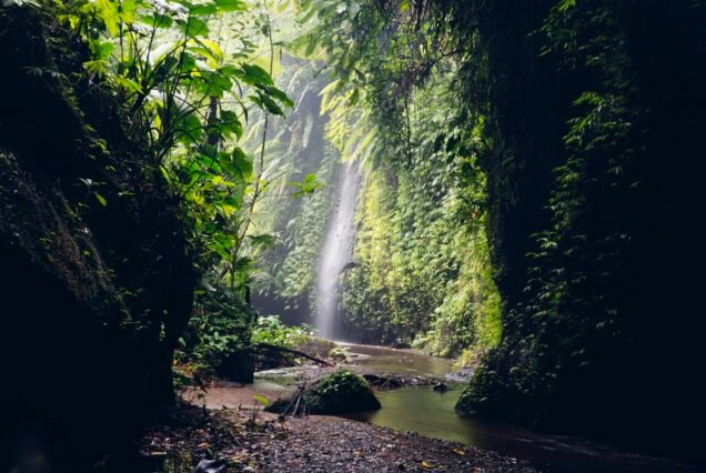 Tukad Cepung waterfall at Bali, Indonesia